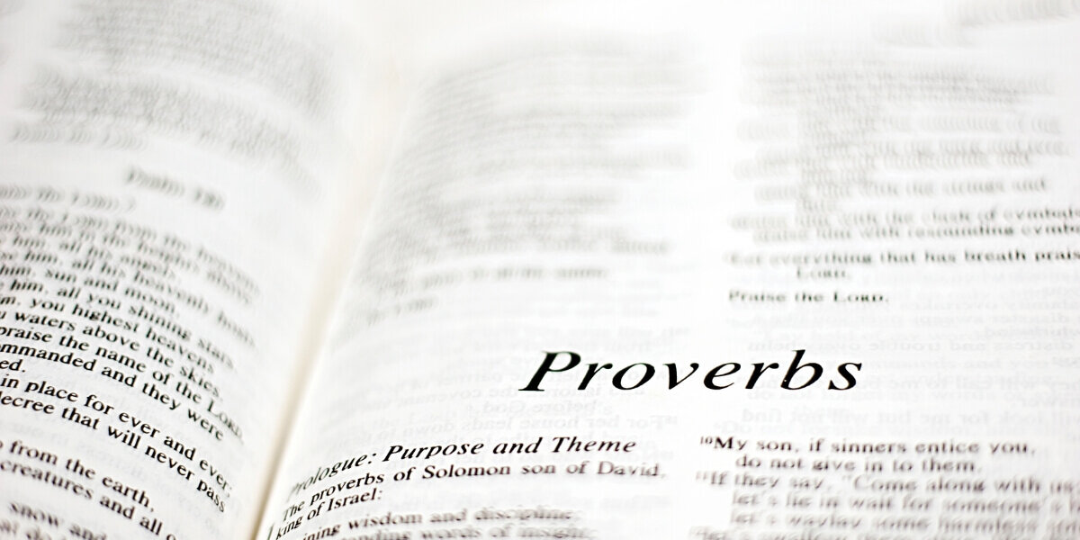 proverbi e modi di dire sul fico