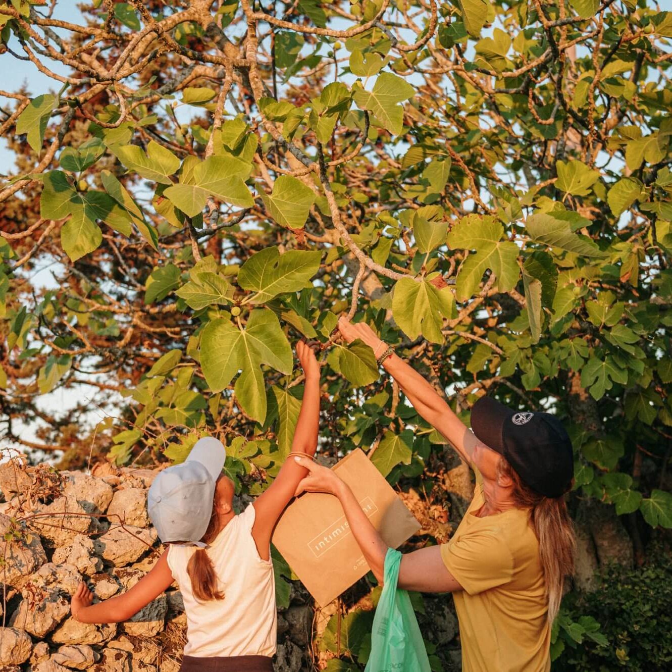 Festa della Fica 2024