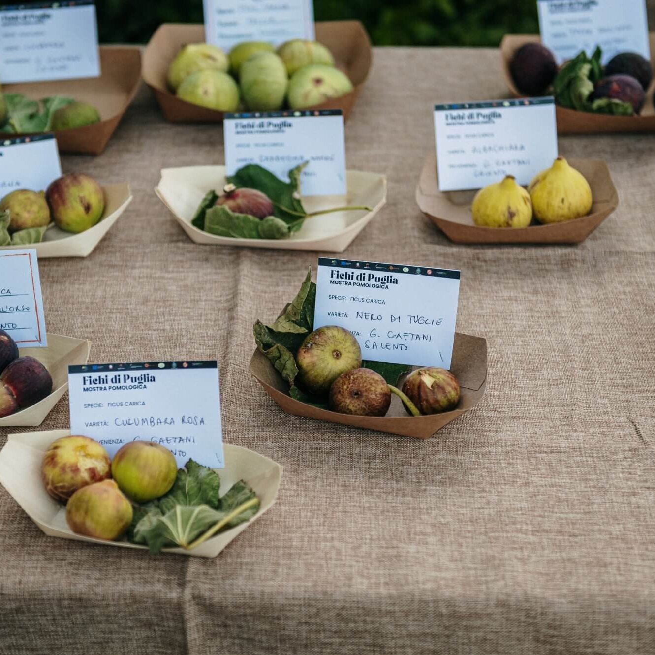 Festa della Fica 2024