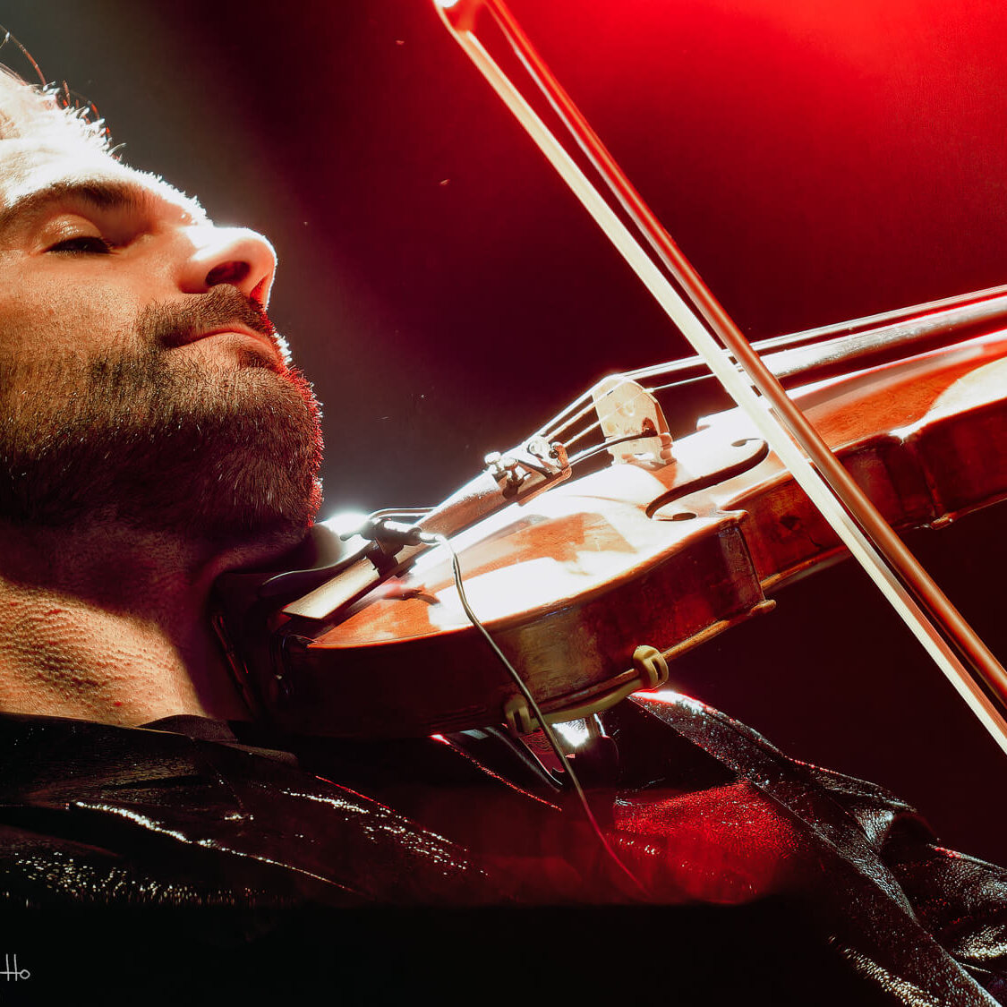 Super Taranta - Festa della Fica